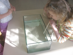 Experimente mit Wasser