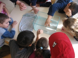 Experimente mit Wasser